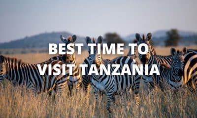 Best Time to Visit Tanzania