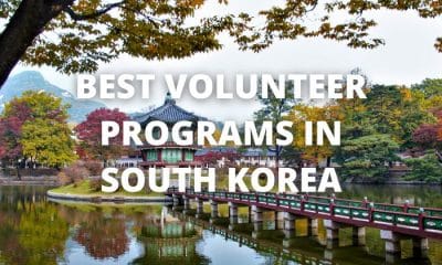 Best Volunteer Programs in South Korea