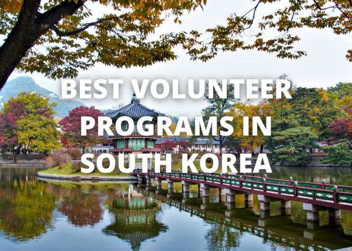 Best Volunteer Programs in South Korea
