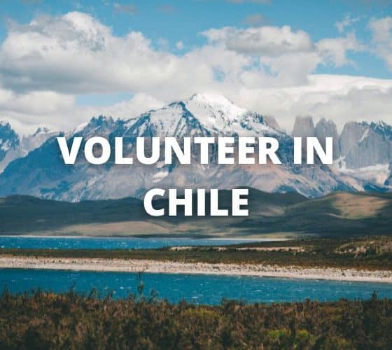 Volunteer Chile