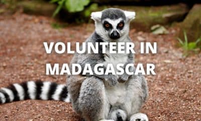 Volunteer Madagascar