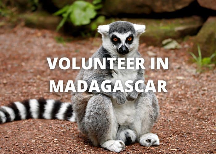 Volunteer Madagascar