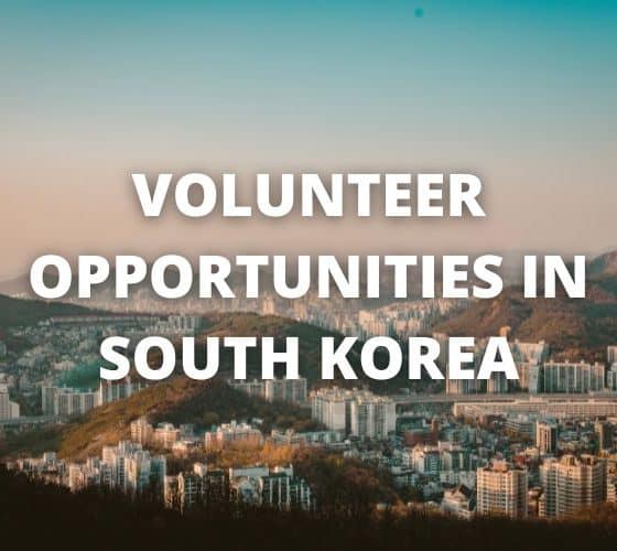 Volunteer Opportunities in South Korea