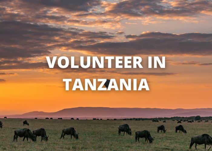 Volunteer Tanzania