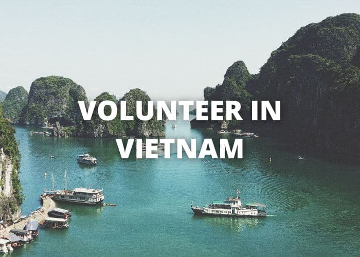Volunteer Vietnam