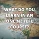 What Do You Learn in an Online TEFL Course?