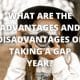 What are the advantages and disadvantages of taking a gap year?