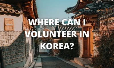Where Can I Volunteer in Korea?