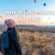 Why is Solo Travel a Trend