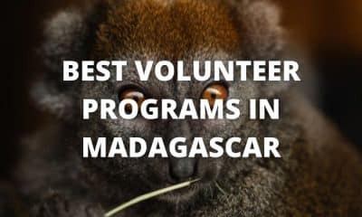 Best Volunteer Programs in Madagascar