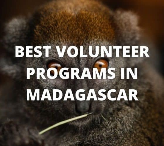 Best Volunteer Programs in Madagascar