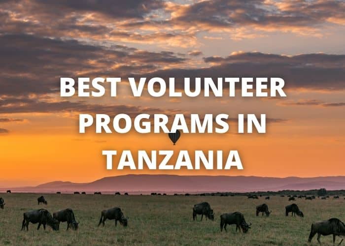 Best Volunteer Programs in Tanzania 42 Best Volunteer Programs in Tanzania
