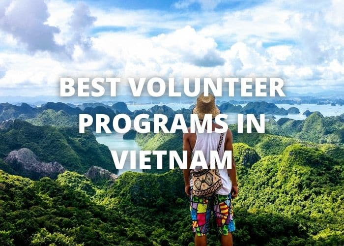Best Volunteer Programs in Vietnam