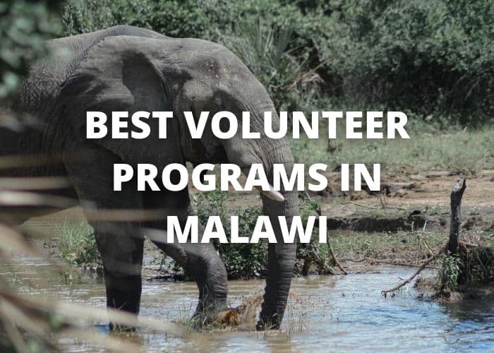 best volunteer programs in Malawi