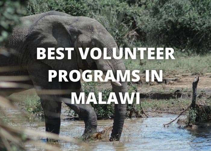 Best Volunteer Programs in Malawi 41 best volunteer programs in Malawi