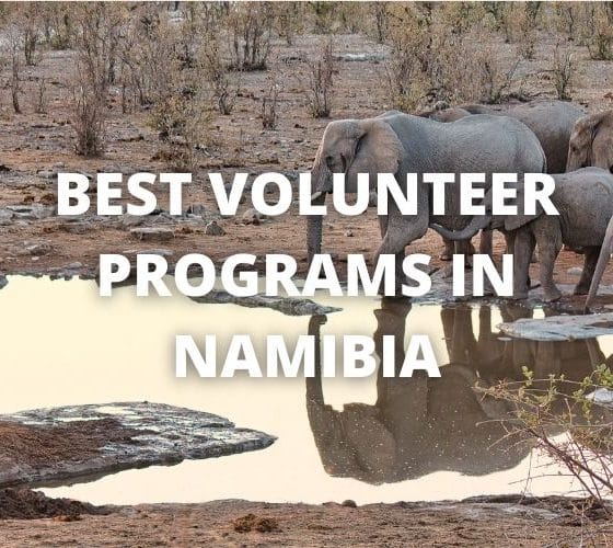 best volunteer programs in Namibia