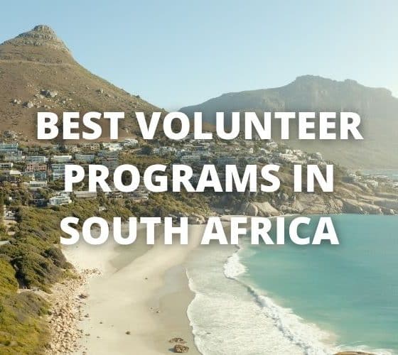 best volunteer programs in South Africa