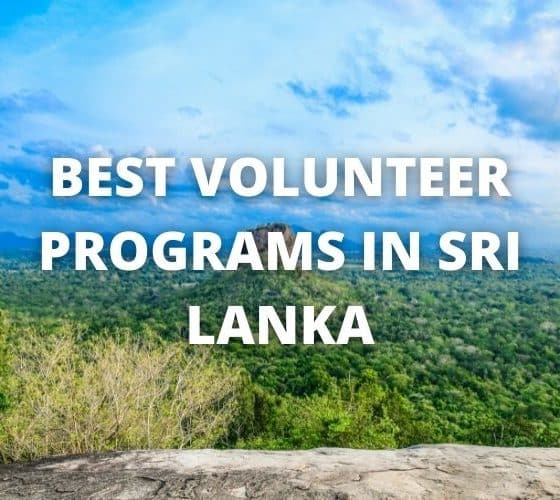 best volunteer programs in Sri Lanka
